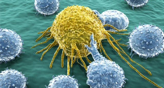 Achillesferse: Überladene Tumorzellen