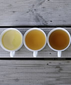 Wer viel Tee trinkt, erleidet laut einer großen Studie seltener einen Hirninfarkt