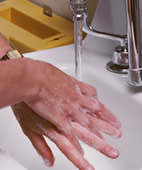 Händewaschen schützt vor krank machenden Keimen – Angestellte gehen damit laut einer Studie zu nachlässig um