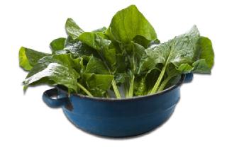Forscher bestätigen: Spinat macht offenbar stark